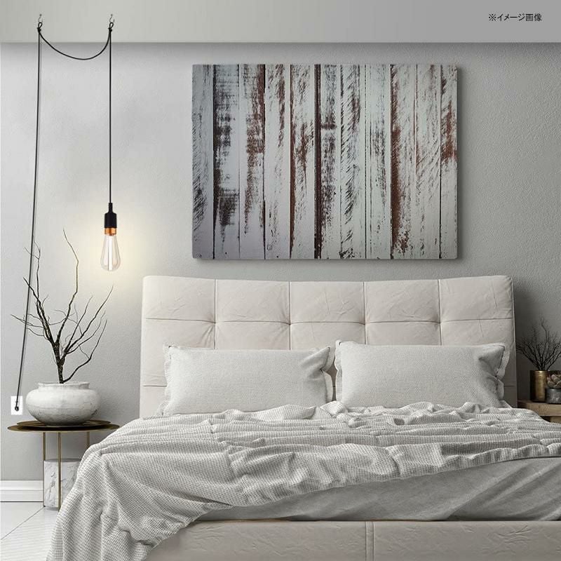 デザイン電球LEDクリア80ルーメン3WE26ST64GlobeElectric31090SynergyLEDBulb,Clear