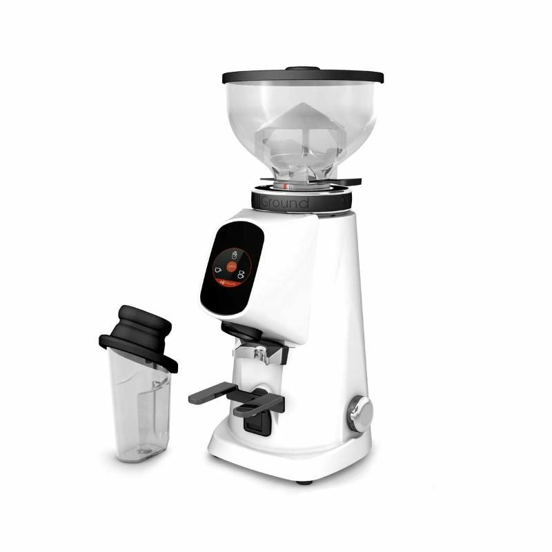Fiorenzato フィオレンツァート エスプレッソグラインダー 単相200V フィオレンツァートオールグラウンド コーヒーグラインダー Fiorenzato