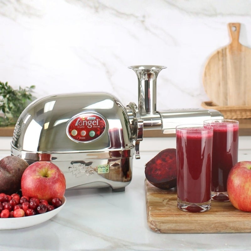 Angel Juicer スロージューサー スーパーエンジェル 5500 SUS304